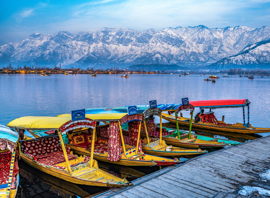 Shikara boats on Dal Lake in Srinagar